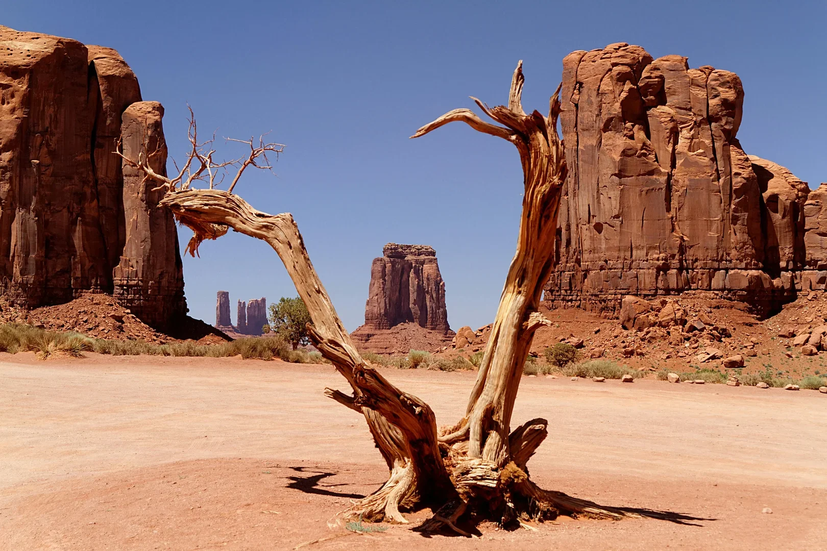 Arizona Desert, USA