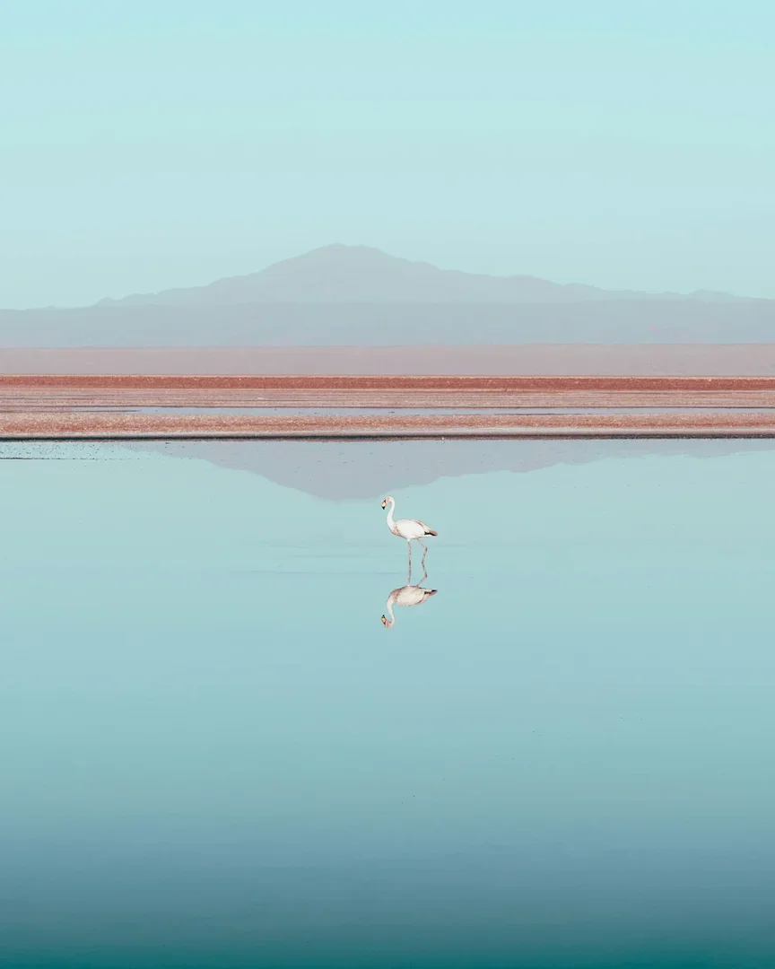 Atacama Desert, Chile