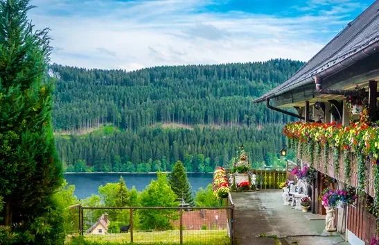 Black Forest, Germany