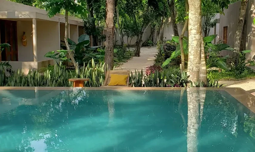 Yucatan Jungle, Mexico