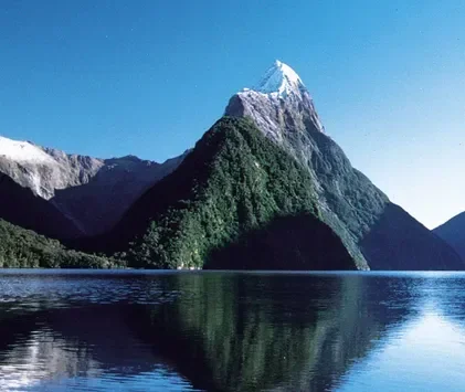Fiordland Jungle, New Zealand