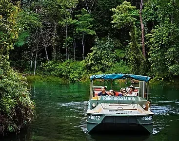 Queensland Rainforest, Australia