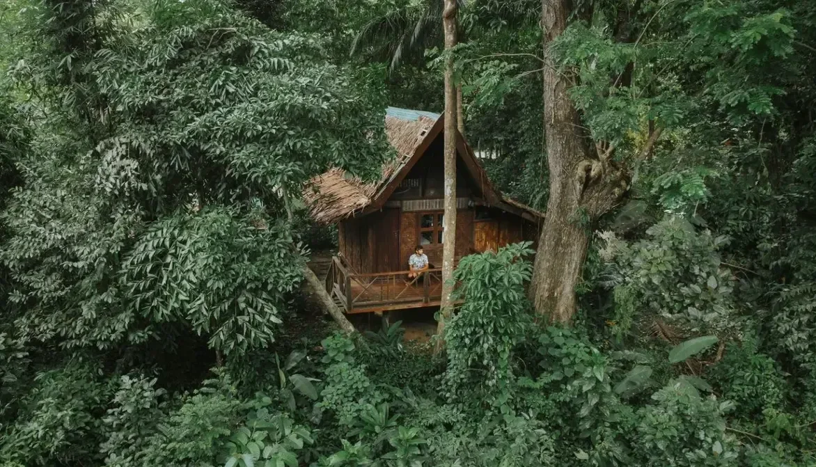 Thailand Rainforest